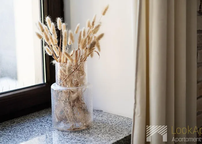 Kilinskiego 33 By Lookap Апартаменты *